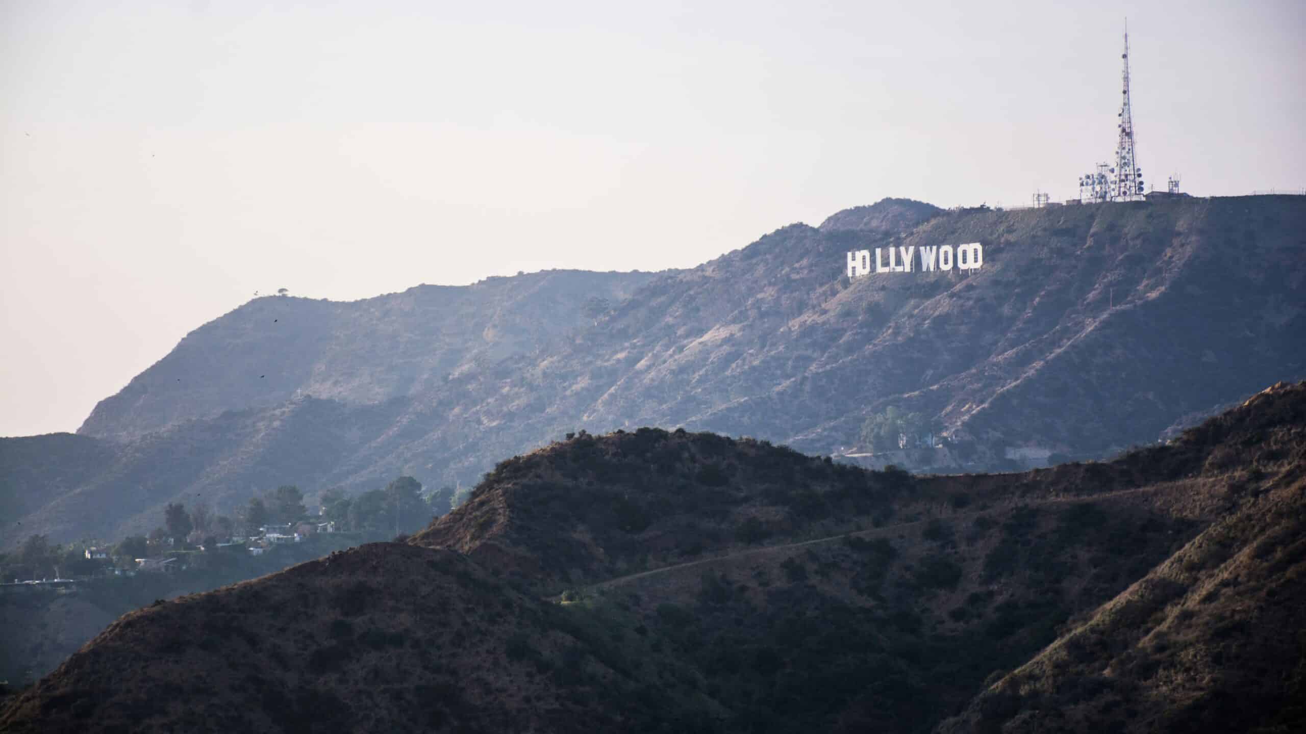 Navigating the Current Laws and Regulations for Psilocybin and Psychedelics Businesses in Los Angeles, CA Photo by Levi Jones on Unsplash